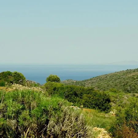 Island Vilă *