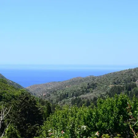 Island *